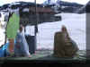 Fasnacht02_04.jpg (53609 Byte)