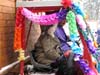 Fasnacht04 (51)