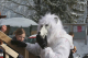 Fasnacht2006 (239)