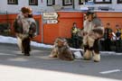 Fasnacht07_106