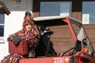 Fasnacht07_160
