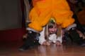 Fasnacht08_246
