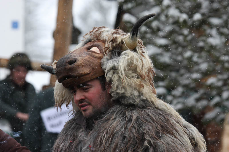 Fasnacht-09_095