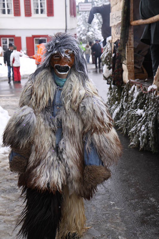 Fasnacht-09_118