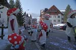 Fasnacht11_030