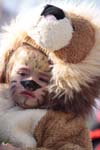 Fasnacht11_296