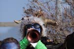 Fasnacht11_334