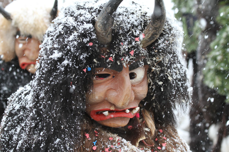 Fasnacht 12_038