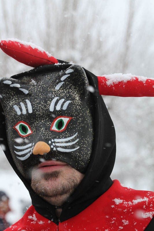 Fasnacht 12_104