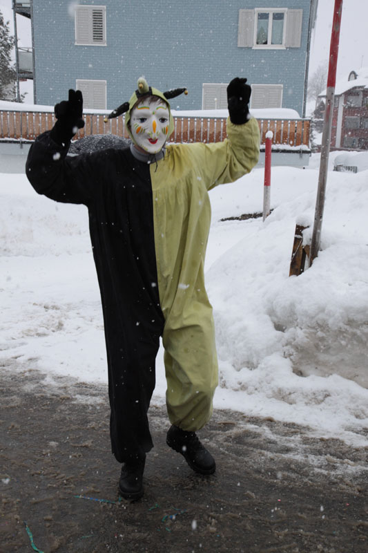 Fasnacht 12_142