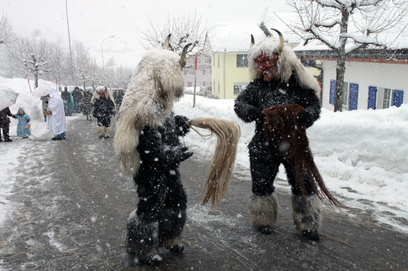 Fasnacht 12_308