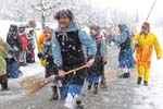 Fasnacht 12_291
