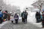 Fasnacht 12_294