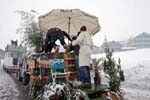 Fasnacht 12_326