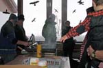 Fasnacht 12_372