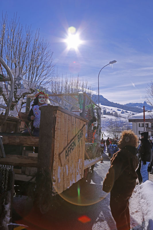 Fasnacht2013_054