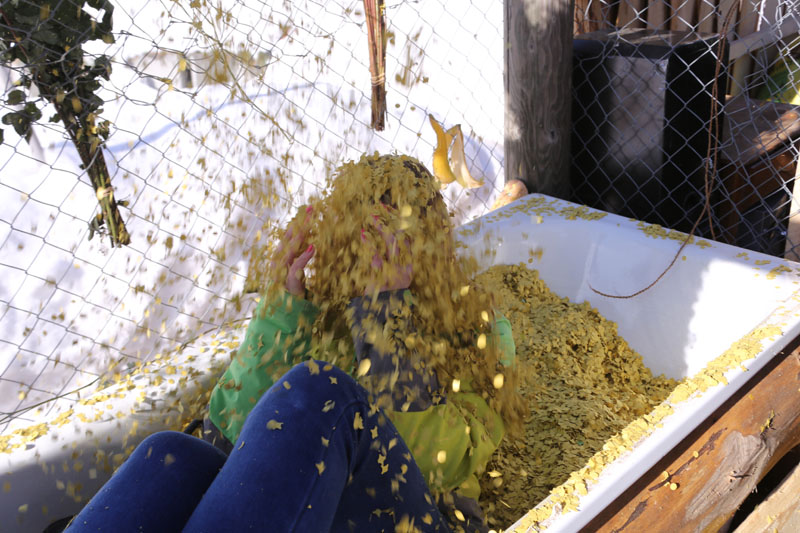 Fasnacht2013_070