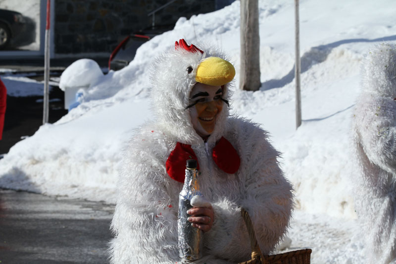 Fasnacht2013_263