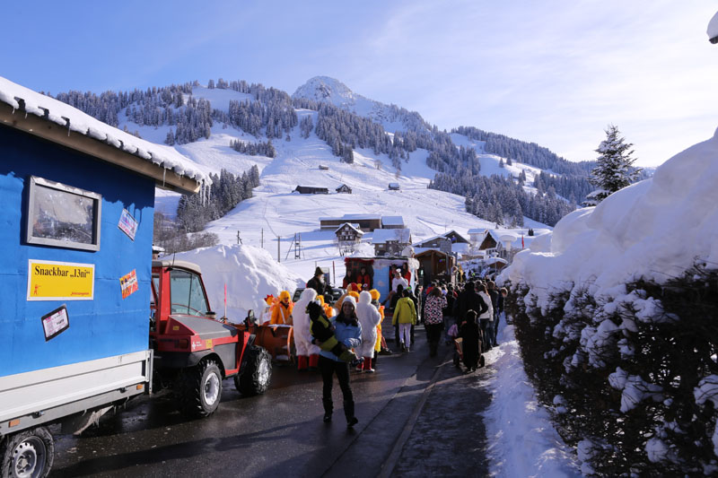Fasnacht2013_311