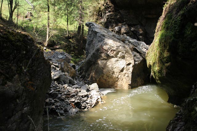 Minsterschlucht (15)