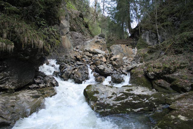 Minsterschlucht (19)