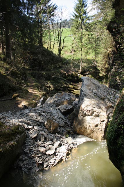 Minsterschlucht (28)