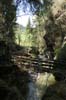 Minsterschlucht (16)