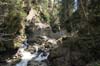 Minsterschlucht (18)