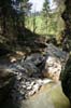 Minsterschlucht (28)