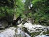 Minsterschlucht (3)