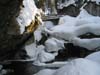 Minsterschlucht (30)