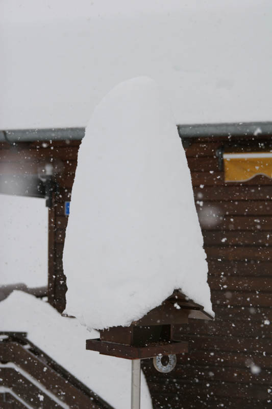 SchneeMaerz07_04