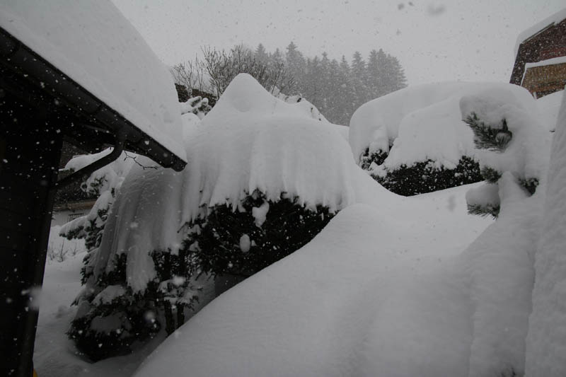 SchneeMaerz07_05
