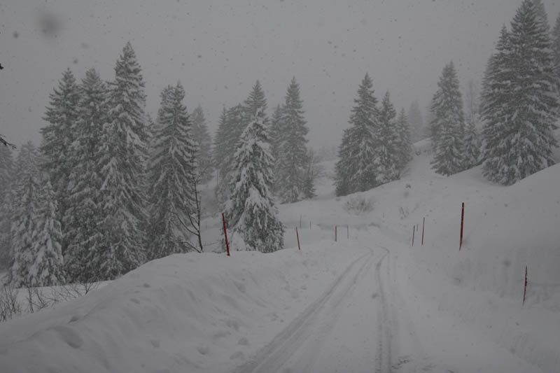 SchneeMaerz07_13