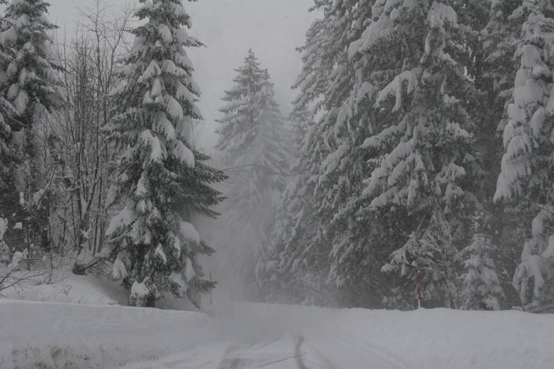 SchneeMaerz07_14