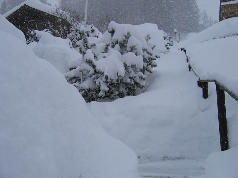 SchneeMaerz07_43