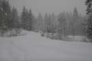 SchneeMaerz07_07