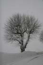 SchneeMaerz07_10