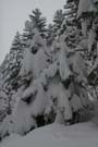 SchneeMaerz07_16