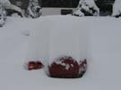 SchneeMaerz07_35