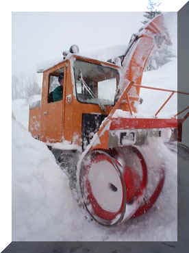winter12.jpg (31397 Byte)