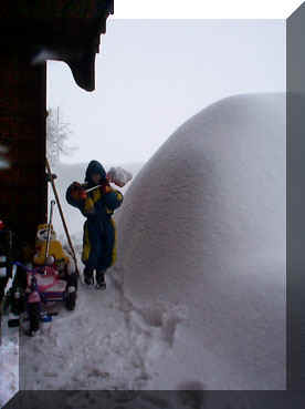 winter13.jpg (23384 Byte)