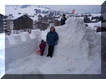 winter19.jpg (28109 Byte)