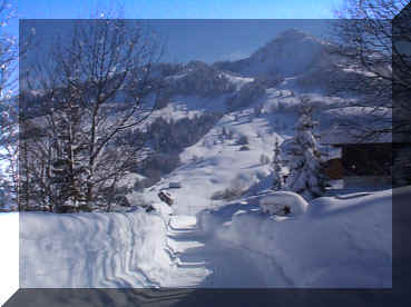 winter3.jpg (36607 Byte)